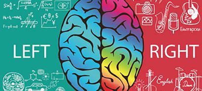 The left and right parts of the brain